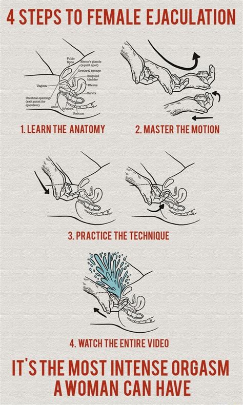 How to squirt: female ejaculation tips .